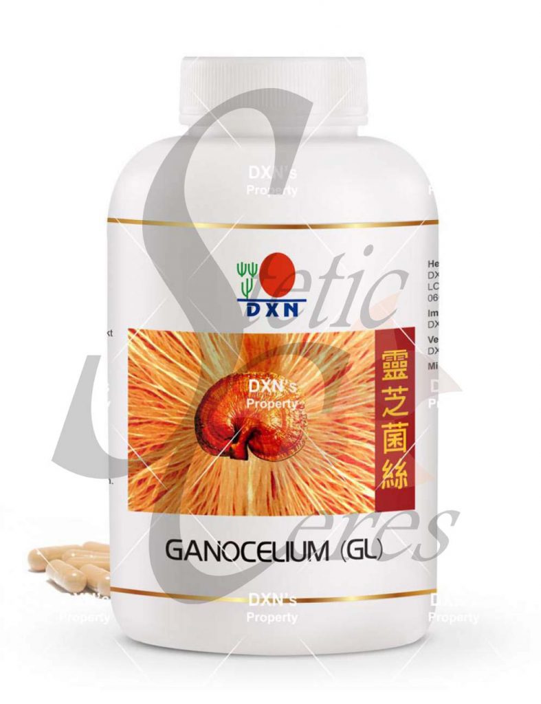 Ganoderma Mycelium en Cápsulas GL 360: 360 Dosis para Tu Bienestar Diario