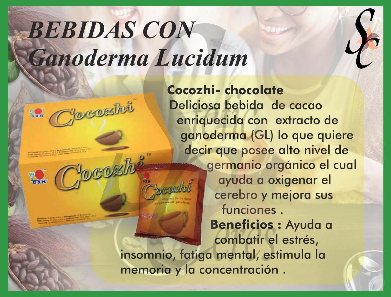 Cacao enriquecido con extracto de hongo ganoderma (GL)