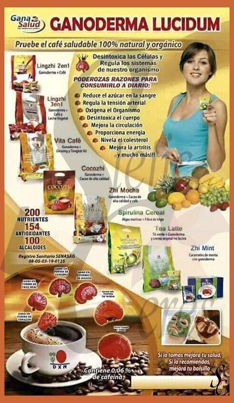 Tipos de café Ganoderma