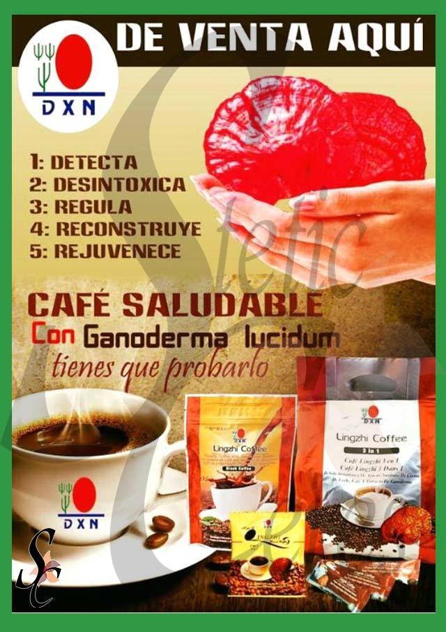 Cafés ganoderma que previenen y combaten diferentes dolencias