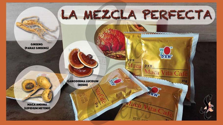 Café en sobres Maca Vita Café: Maca, Reishi y Ginseng