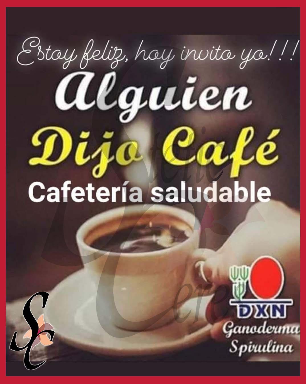 Cafés saludables con ganoderma