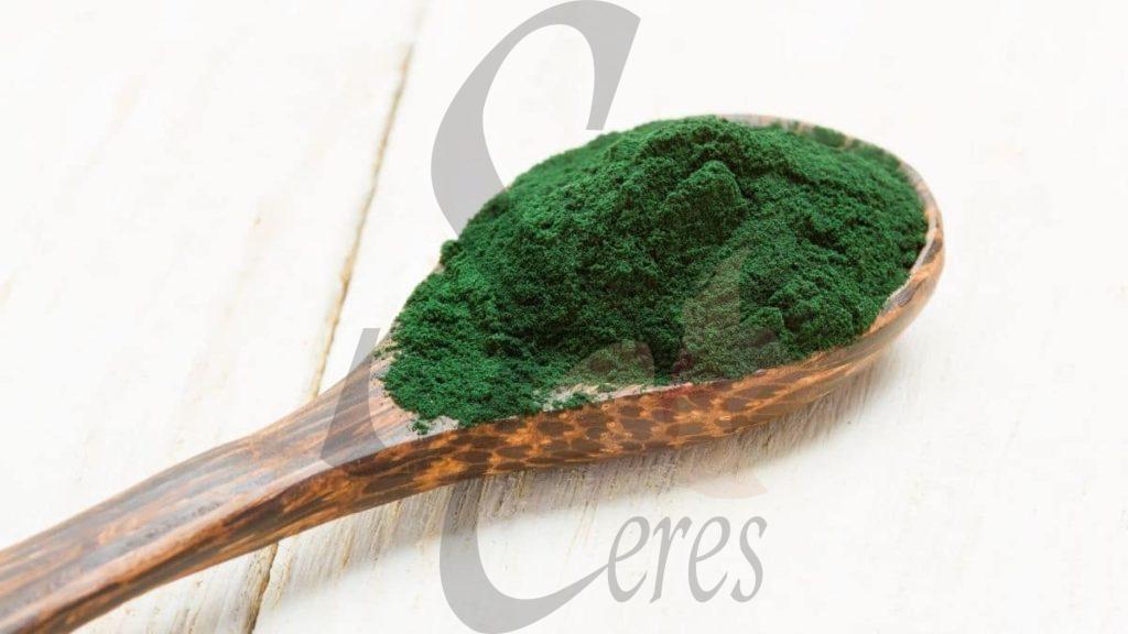 Relación entre espirulina y covid 19