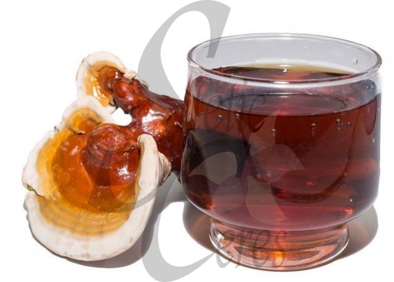 Té o infusión de Reishi